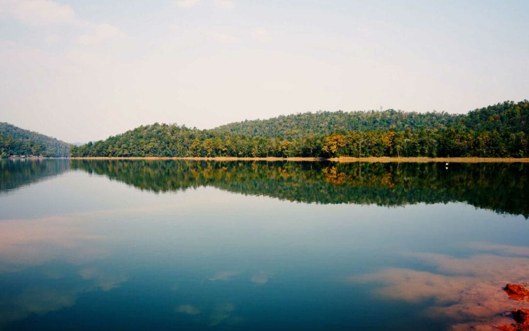 Odisha Eco-Tourism Trail: Unveiling Nature’s Best-Kept Secrets
