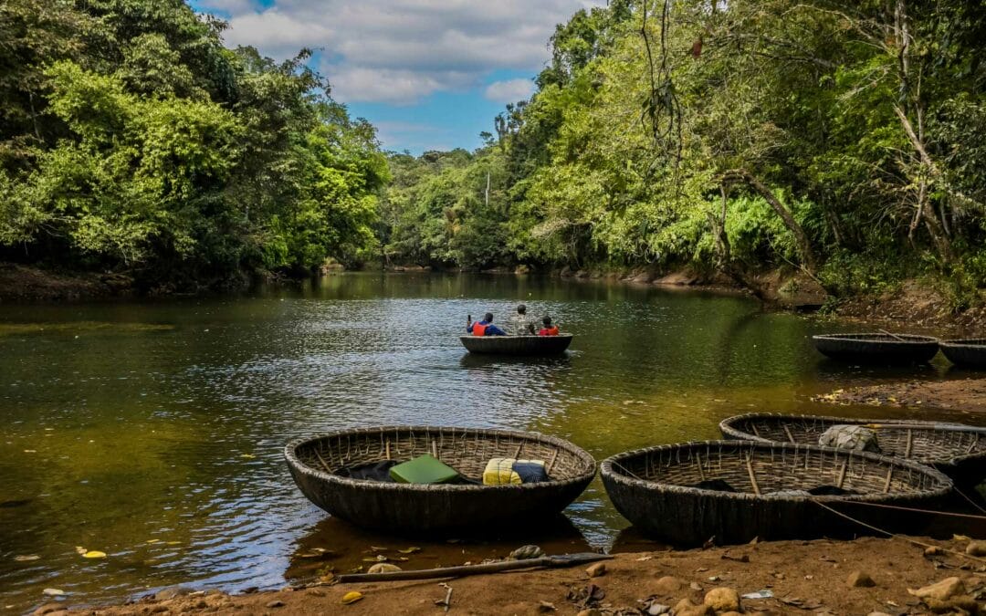 Adavi Eco Tourism: A Guide to Sustainable Travel