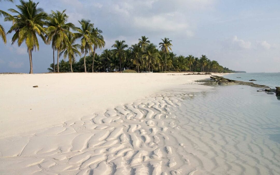 Lakshadweep Tourism: Explore Pristine Islands and Rich Marine Life
