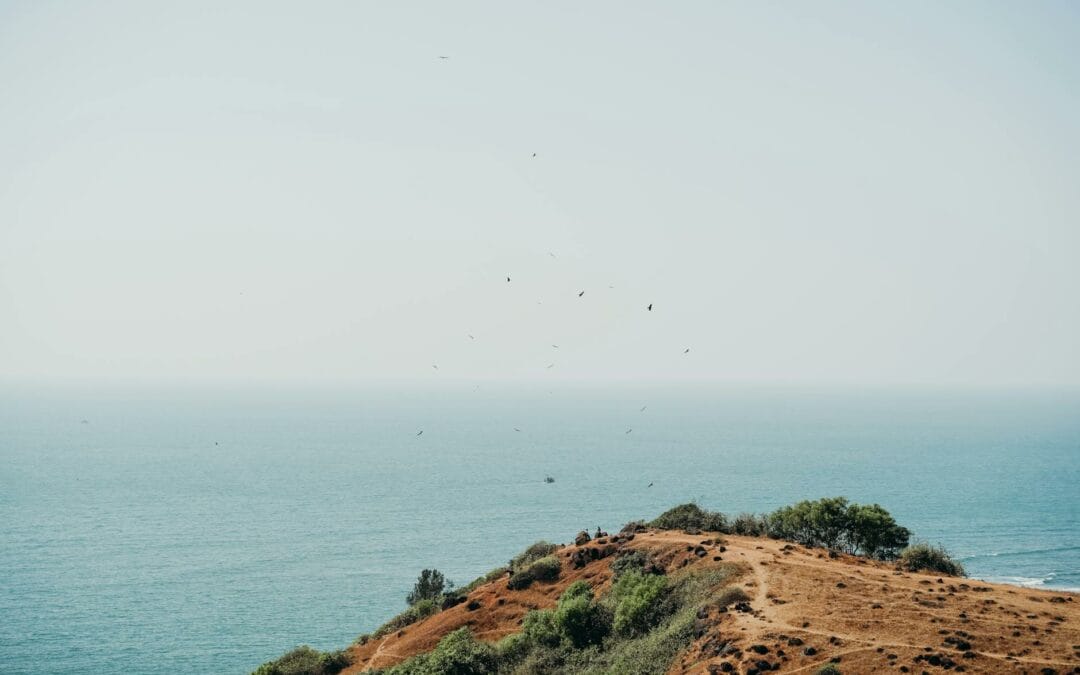 Is Goa a Union Territory: Understanding Its Current Status